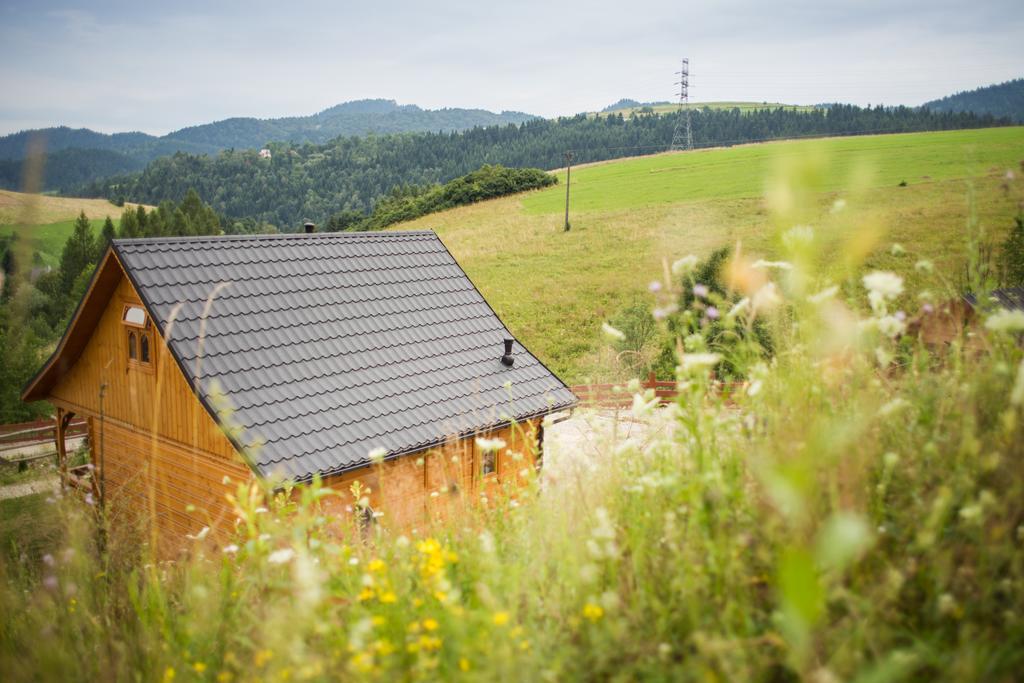 Pienińskie Herbarium zdrowie i dobre samopoczucie Grywald Zewnętrze zdjęcie